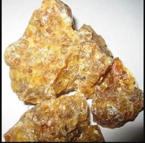 Iran Top Hadda Dana Hing