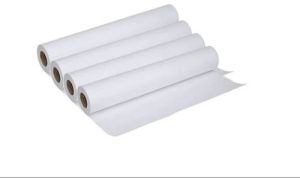 Poultry Paper Chick Paper Roll