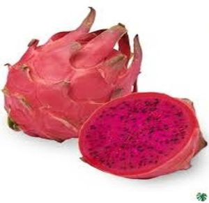Fresh Dragon Fruit