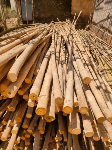Bamboo Poles