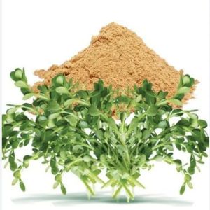 Centella Asiatica Powder