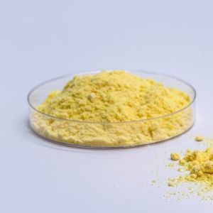 Coenzyme Q10 Powder