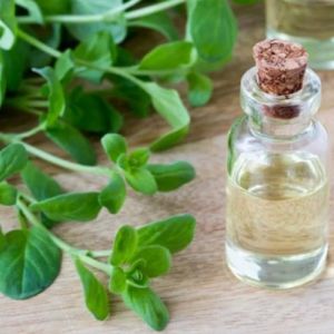 Tea Tree Oil