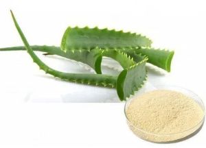 Aloe Vera Powder