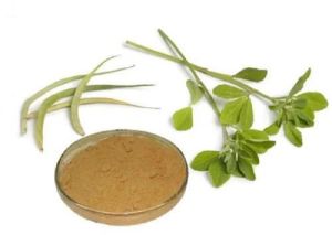 Centella Asiatica Powder