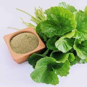 Centella Asiatica Powder