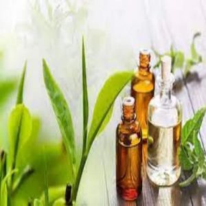 Tea Tree Oil