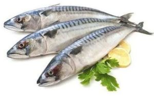 Frozen Basa Fish