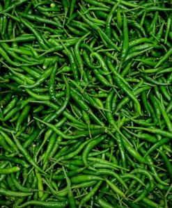 G4 Green Chilli