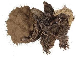 Prozeal Jatamansi Powder