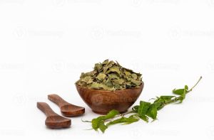 Dried Neem Leaf