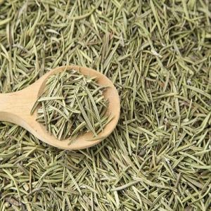 Dry Rosemary Leaves