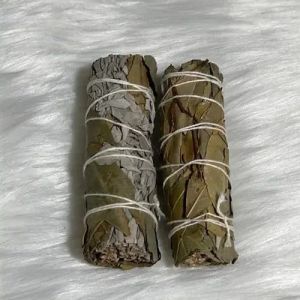 Basil Leaves Smudge Bundle