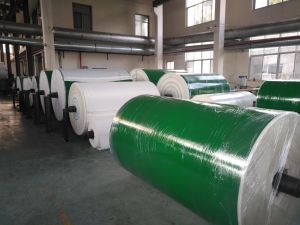 PVC Conveyor Belts