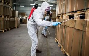 Pest Control Service