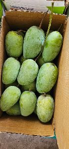 Fresh Kesar Mango