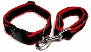 Dog PP Collar Leash Set