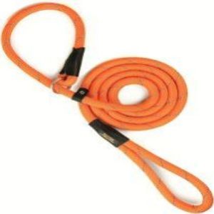 Dog Striking Braided Rope Leash