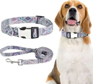 Elegant Little Tail Dog Collar