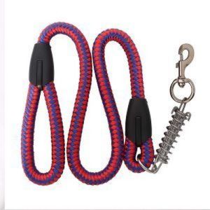 Fancy Dog Leash with Spring