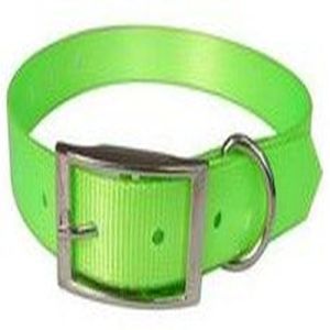 Green Nylon Dog Collar