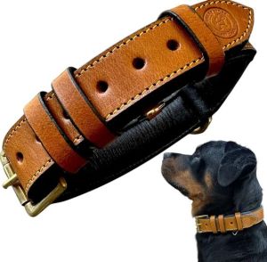 Leather Dog Collars