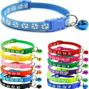 Multicolour Printed Dog Collar