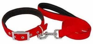 Nylon Dog Collar Set