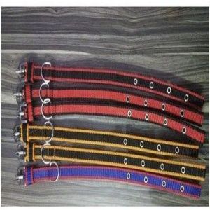 PP Dog Collar