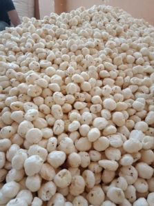 4 Plus Suta Phool Makhana