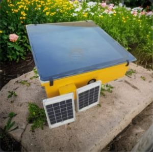 Cabinet Solar Dryers