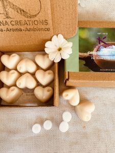 Camphor Soy Wax Melts