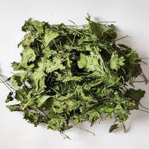 Dehydrated Coriander Leaves