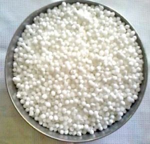 Sabudana