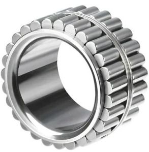 Nsk Needle Roller Bearings