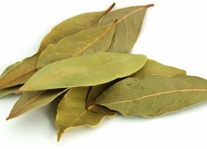 Dry Bay Leaves