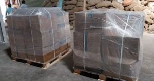 Baggage Shipping Services