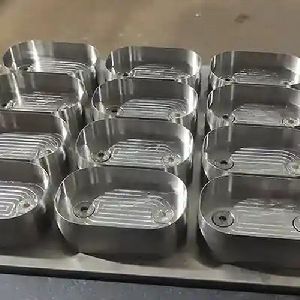 Alta Processing Machine Die