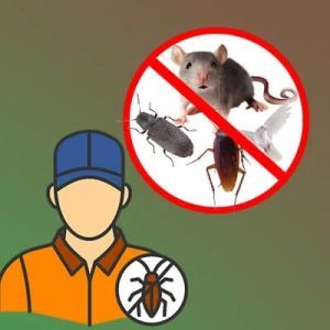 General Pest Control Service