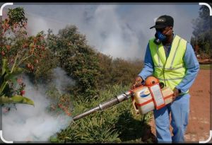Mosquito Control Fogging Service