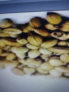 Coriander Seed