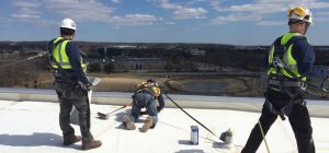 Fall Protection Lifeline
