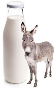 Pure Donkey Milk