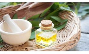 Eucalyptus Oil