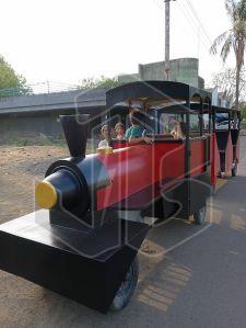 Electric Trackless Train