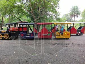 Trackless Toy Train