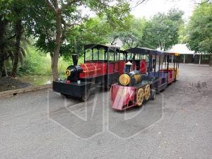 Trackless Toy Train