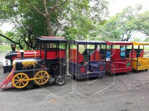 Trackless Toy Train