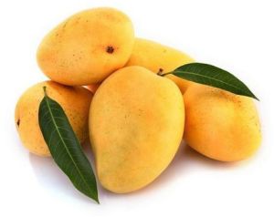 Fresh Yellow Kesar Mango