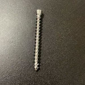Stainless Steel Die Lock Screw